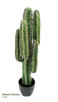 Desert Cactus 1.1m