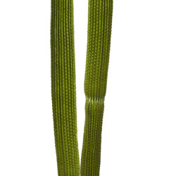Cactii- Column Cactus double-trunk 1.5m - artificial plants, flowers & trees - image 6