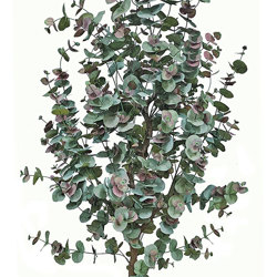 Eucalyptus 'Sweet Gum' 2.1m - artificial plants, flowers & trees - image 2