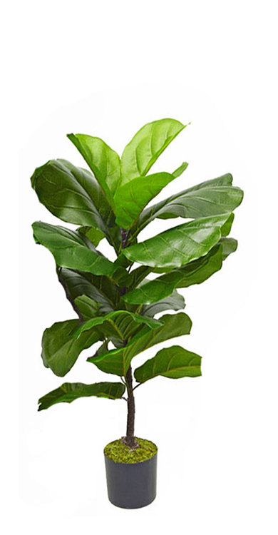 Articial Plants - Fiddle-Leaf Ficus 'giant-leaf' 1.2m
