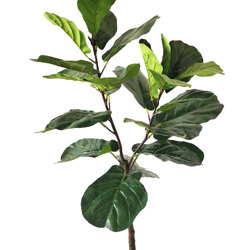 Fiddle-Leaf Ficus 1.8m - artificial plants, flowers & trees - image 6
