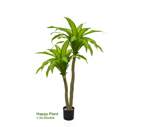 Happy Plant 1.3m double