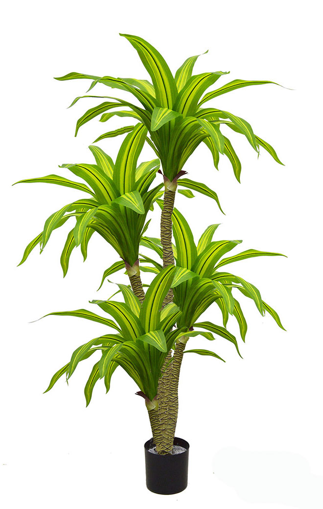 Happy Plant 1.3m double 