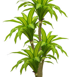 Happy Plant 1.3m double  - artificial plants, flowers & trees - image 5