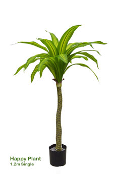 Happy Plant 1.2m single