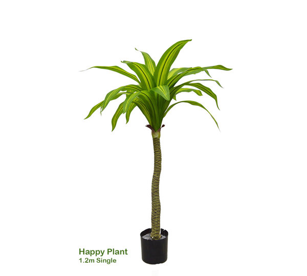 Happy Plant 1.2m single