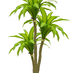 Happy Plant 1.3m double  - artificial plants, flowers & trees - image 4