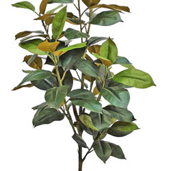 Magnolia 'little gem' 1.5m - artificial plants, flowers & trees - image 10