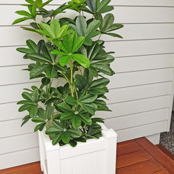 Mini-Umbrella Plant 1.5m - artificial plants, flowers & trees - image 3
