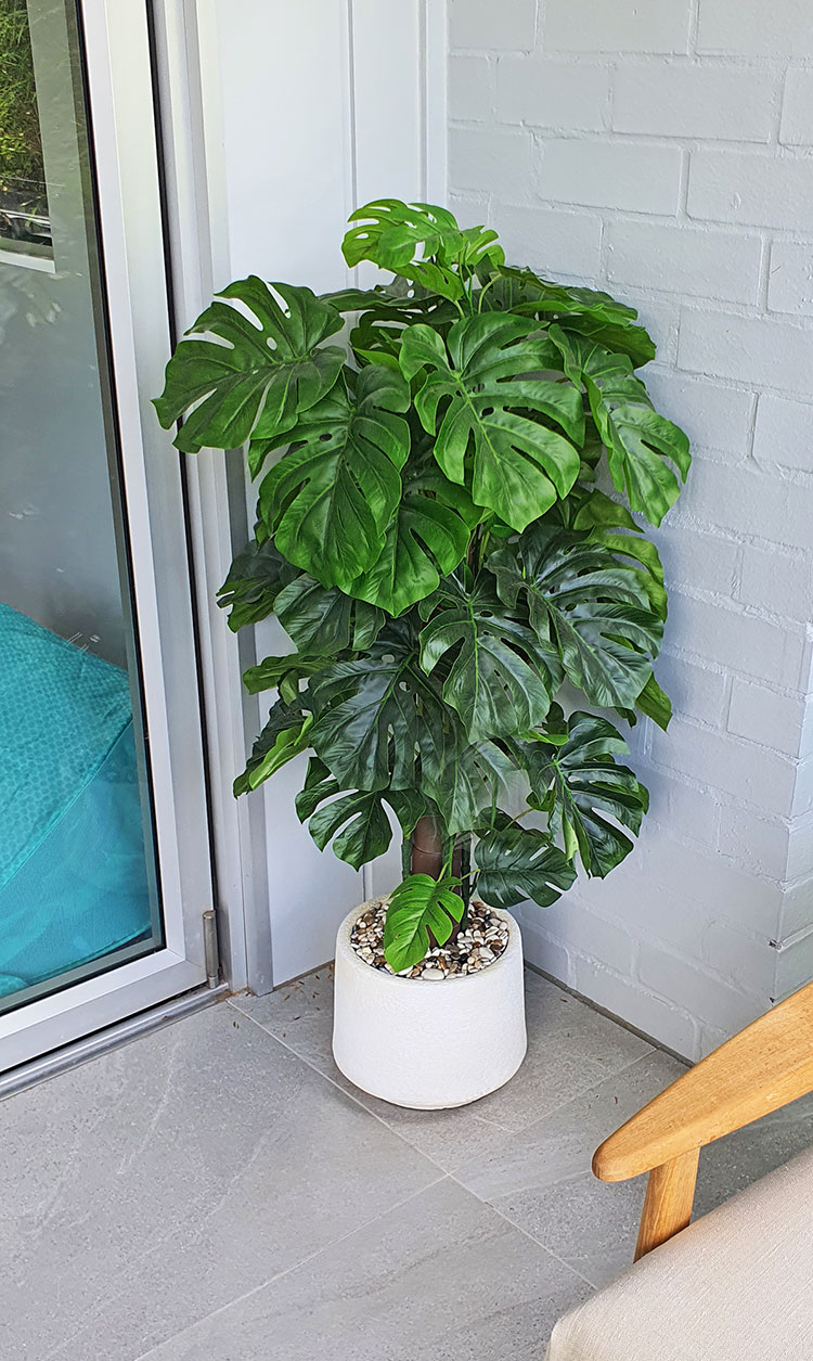 Monsterio UV-treated 1.2m