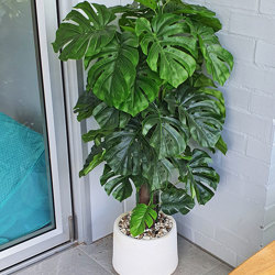 Monsterio 1.2 UV-treated - artificial plants, flowers & trees - image 2
