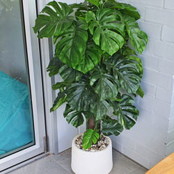Monsterio UV-treated 1.2m - artificial plants, flowers & trees - image 2