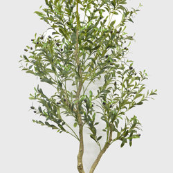 Olive Tree- 2.1m - artificial plants, flowers & trees - image 10