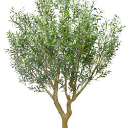 Giant Olive Tree- 2.7m tall - artificial plants, flowers & trees - image 10