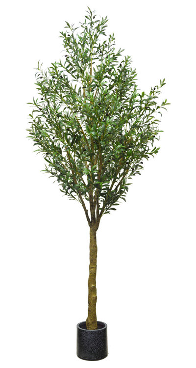 Articial Plants - Giant Olive Tree- 3m tall