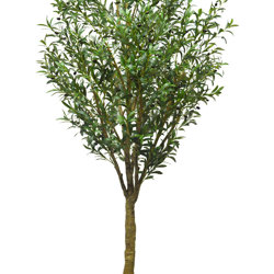 Giant Olive Tree- 3m tall - artificial plants, flowers & trees - image 2