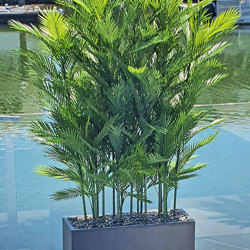 Parlour Palm UV 1.5m - artificial plants, flowers & trees - image 5