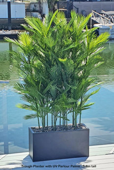 Trough Planters- with UV Parlour Palms 1.8m tall