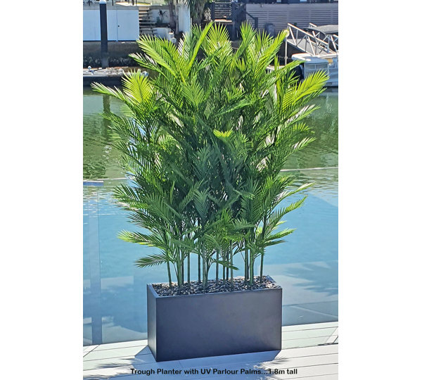 Trough Planters- with UV Parlour Palms 1.8m tall