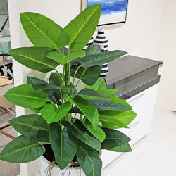Philodendron 'elephant-ears' 1.3m - artificial plants, flowers & trees - image 2
