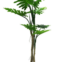 Philodendron 'giant-leaf' 1.8m delux - artificial plants, flowers & trees - image 7