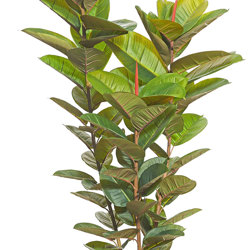 Rubber-Tree 1.1m sml - artificial plants, flowers & trees - image 8