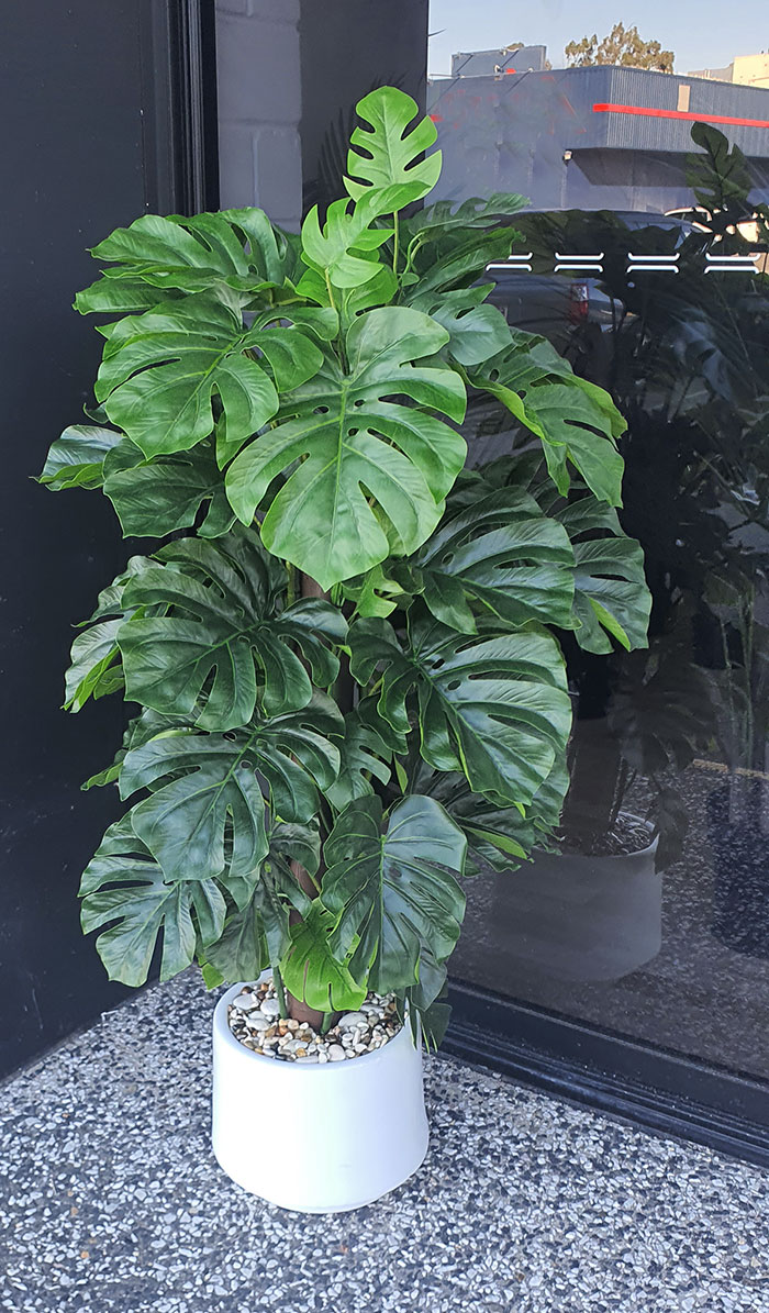 Monsterio UV-treated 1.2m