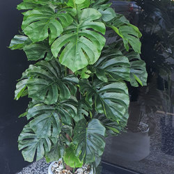 Monsterio UV-treated 1.2m - artificial plants, flowers & trees - image 1