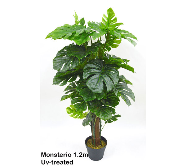 Monsterio UV-treated 1.2m