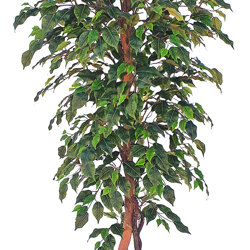 Weeping Ficus 1.5m UV-rated - artificial plants, flowers & trees - image 6
