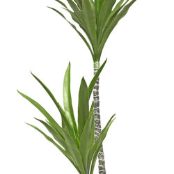 Yucca Tree- 1.2m with 2 heads  - artificial plants, flowers & trees - image 2
