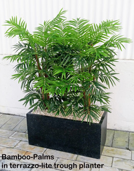 Trough Planters- with Bamboo-Palms 1.3m tall