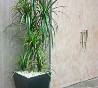 Planter re-furb @ Football Club