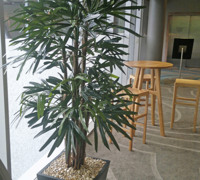 Planter re-furb @ Football Club