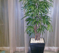 Planter re-furb @ Football Club