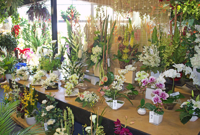 showcase of flower arrangements