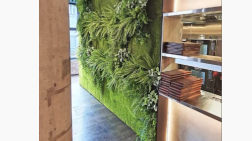 A few examples of Interior Gardens Green Walls installed in 2019