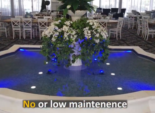 Advantages of Artificial Plants
