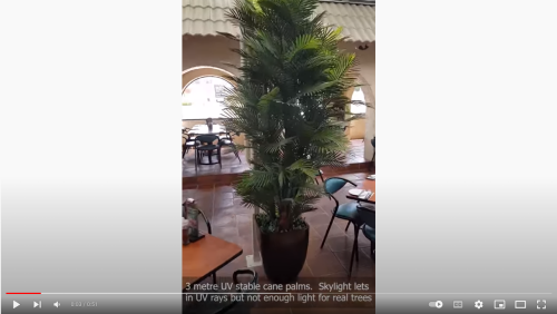 Cav's 3m UV Stable Cane Palm
