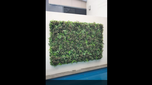 Cooling-down hot, bland concrete walls outdoors with artificial plants- see how…