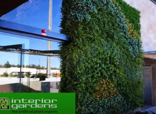 Deluxe Green Wall Installation