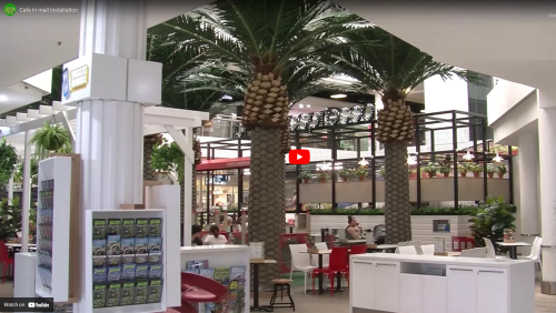 New Cafe in a Mall wanted a Total Green Fit-out
