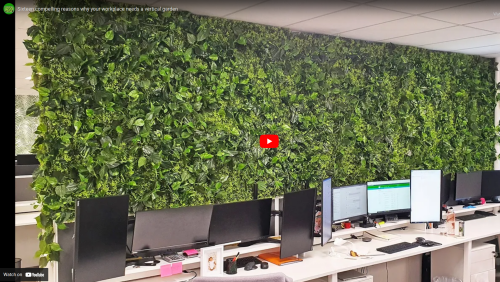 Sixteen compelling reasons why your workplace needs a vertical garden