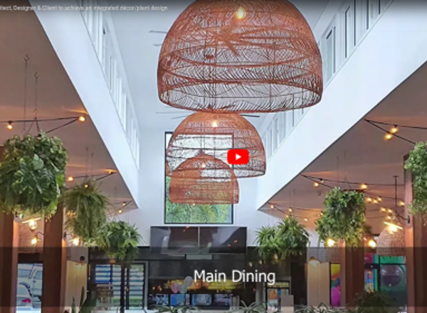 Working with Architect, Designer & Client to achieve an integrated décor/plant design