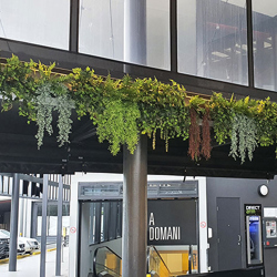UV-Trailer: 'Silver Falls' Fern 70cm - artificial plants, flowers & trees - image 7