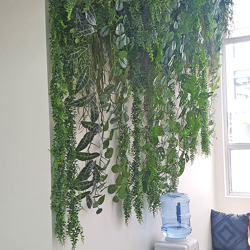 UV-Trailer: Asparagus Fern- variegated 70cm  - artificial plants, flowers & trees - image 6