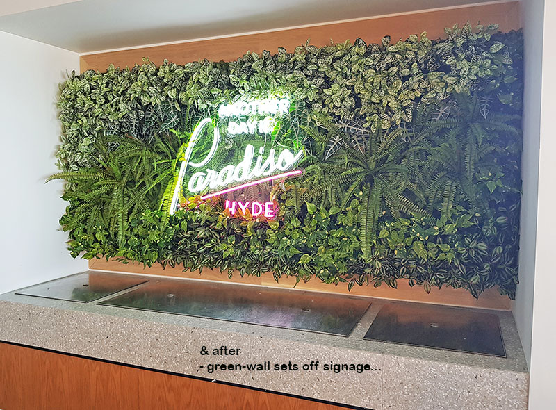 neon signage hi-lighted by green-wall backing