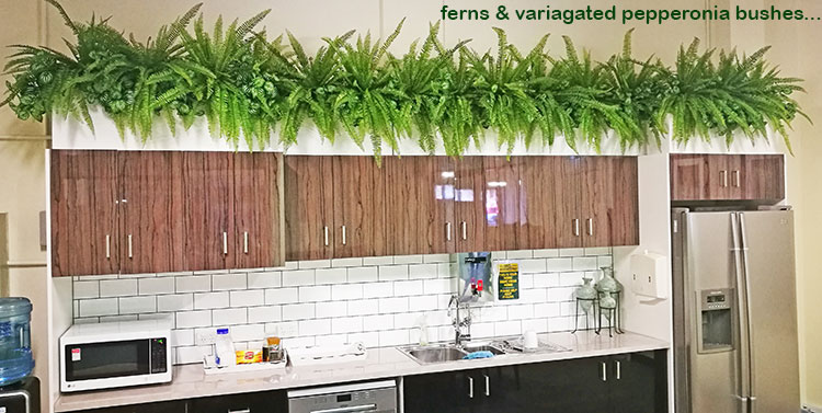 greenery softens up kitchen areas