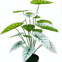 Anthurium 'white-tiger' - artificial plants, flowers & trees - image 7