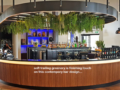 Contempo Bar in new Tavern gets 'finishing green-touch'...